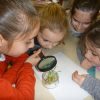 Cours de sciences 2