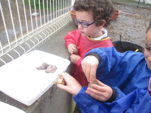 Ecole début novembre 2015 074
