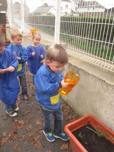Ecole début novembre 2015 084